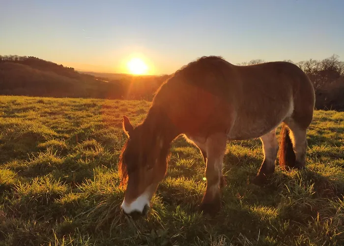 Au Calme Avec Balneo Privee * Balansun